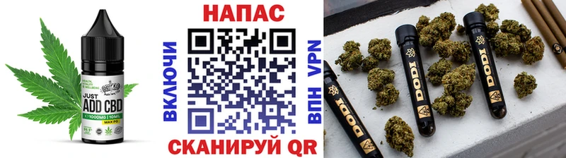Cannafood конопля  Йошкар-Ола 