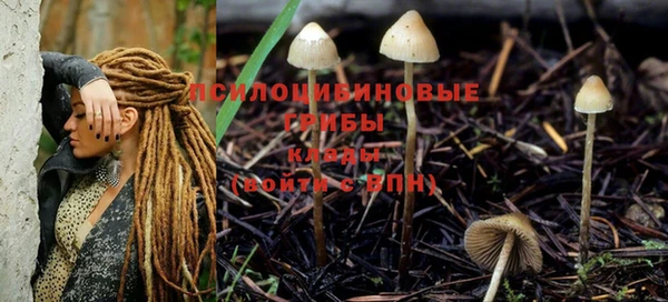 таблы Верея